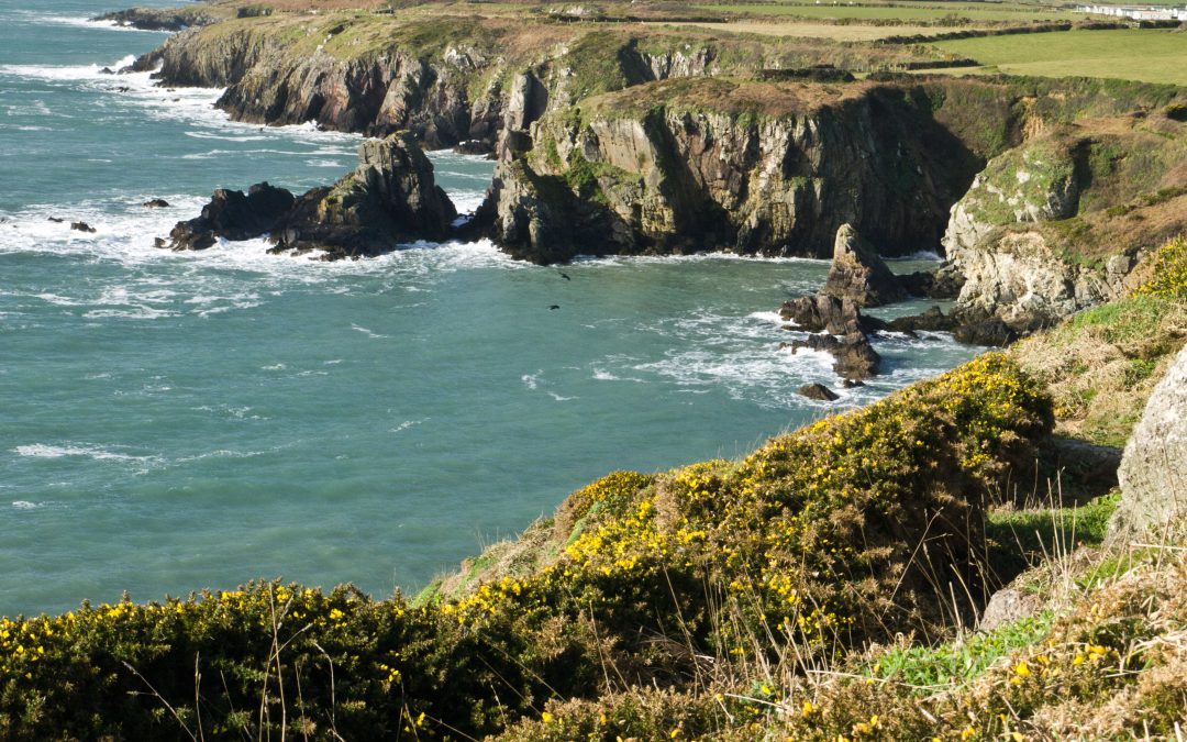 Roots – do they define you?