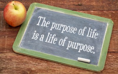Benefits of New Experiences